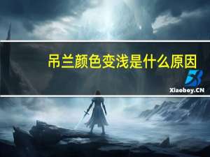 吊兰颜色变浅是什么原因