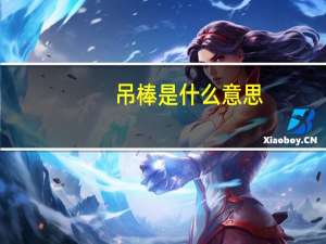 吊棒是什么意思