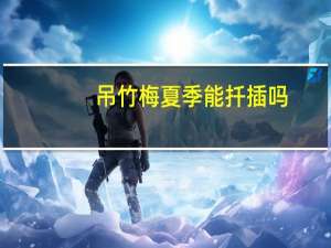 吊竹梅夏季能扦插吗