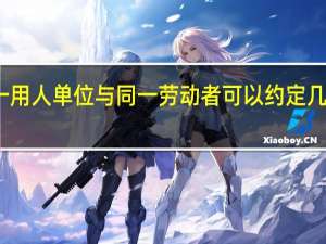 同一用人单位与同一劳动者可以约定几次试用期