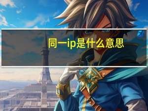同一ip是什么意思