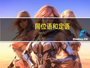 同位语和定语