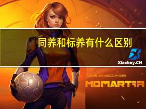 同养和标养有什么区别