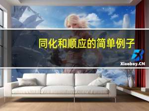 同化和顺应的简单例子