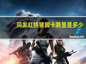 同发 红烧猪脚卡路里是多少