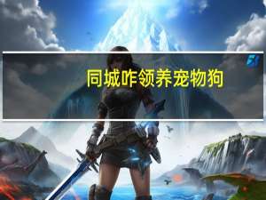 同城咋领养宠物狗