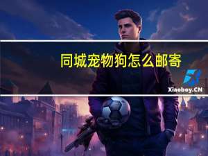 同城宠物狗怎么邮寄
