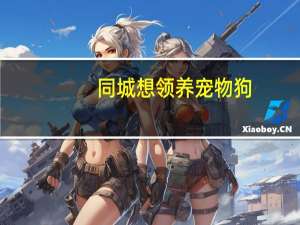 同城想领养宠物狗