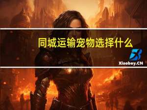 同城运输宠物选择什么