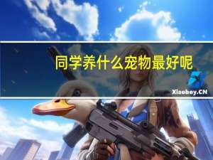 同学养什么宠物最好呢