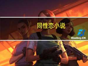 同性恋小说