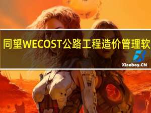 同望WECOST公路工程造价管理软件 V9.2.0 官方版（同望WECOST公路工程造价管理软件 V9.2.0 官方版功能简介）
