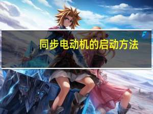 同步电动机的启动方法