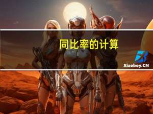 同比率的计算