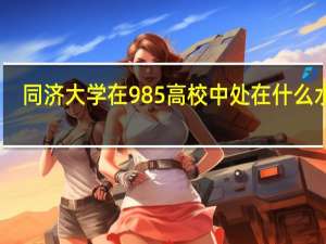 同济大学在985高校中处在什么水平
