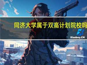同济大学属于双高计划院校吗