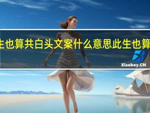 同淋雪此生也算共白头文案什么意思 此生也算共白头的上一句