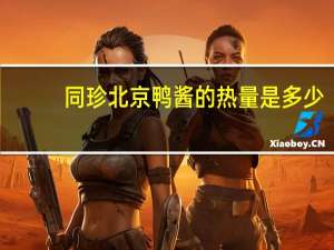 同珍 北京鸭酱的热量是多少