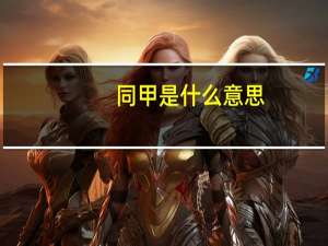 同甲是什么意思