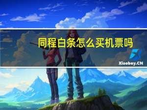 同程白条怎么买机票吗