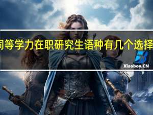 同等学力在职研究生语种有几个选择的机会