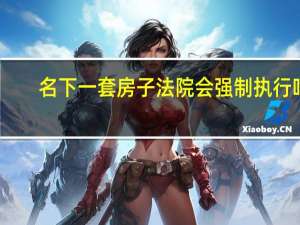 名下一套房子法院会强制执行吗