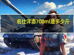 名仕洋酒700ml是多少斤