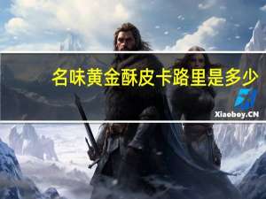 名味 黄金酥皮卡路里是多少