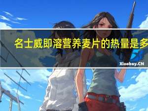 名士威 即溶营养麦片的热量是多少