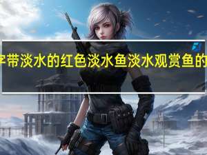 名字带淡水的红色淡水鱼 淡水观赏鱼的种类大全