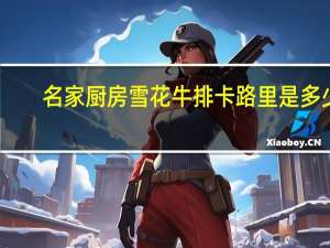 名家厨房 雪花牛排卡路里是多少