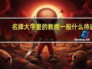 名牌大学里的教授一般什么待遇