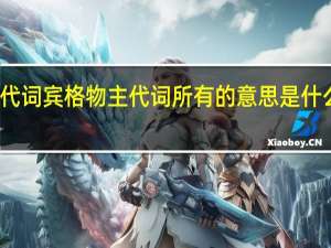 名词性物主代词人称代词宾格物主代词所有的意思是什么 人称代词和物主代词表格