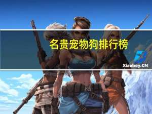 名贵宠物狗排行榜
