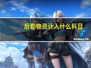 后勤物资计入什么科目