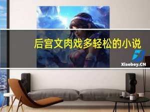 后宫文 肉戏多 轻松的小说（肉戏写得好的官场小说）