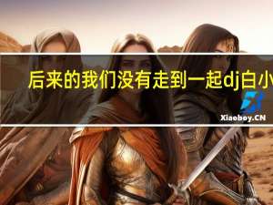 后来的我们没有走到一起dj白小白（后来的我们没有走到一起）