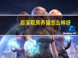 后溪租房养猫怎么样呀