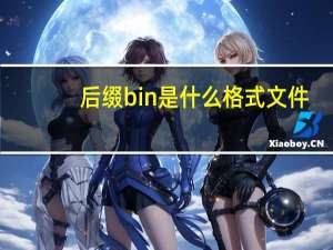 后缀bin是什么格式文件