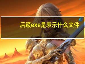 后缀exe是表示什么文件