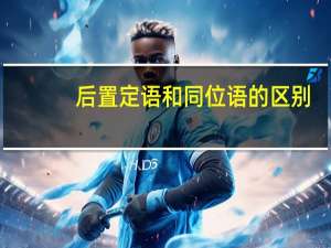 后置定语和同位语的区别