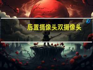 后置摄像头双摄像头