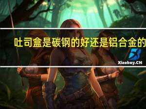 吐司盒是碳钢的好还是铝合金的好