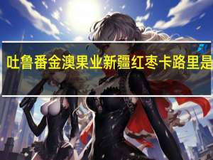 吐鲁番金澳果业 新疆红枣卡路里是多少