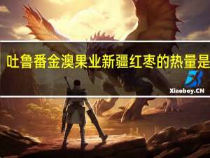 吐鲁番金澳果业 新疆红枣的热量是多少