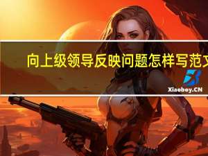 向上级领导反映问题怎样写范文（向上级反映情况范文）