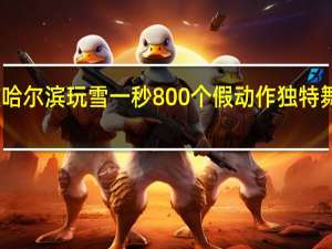 向佐哈尔滨玩雪一秒800个假动作 独特舞姿引热议