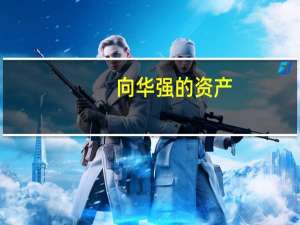 向华强的资产（向华强有多少资产）