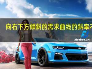 向右下方倾斜的需求曲线的斜率不变（向右下方倾斜的需求曲线是）