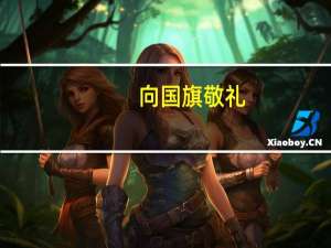 向国旗敬礼,网站（yn wenming cn向国旗敬礼）